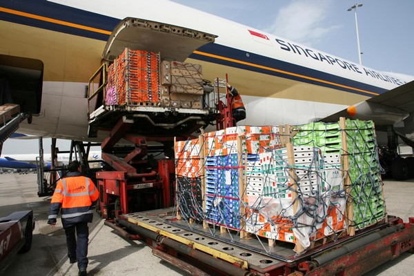 Air freight and use of plastic pallet